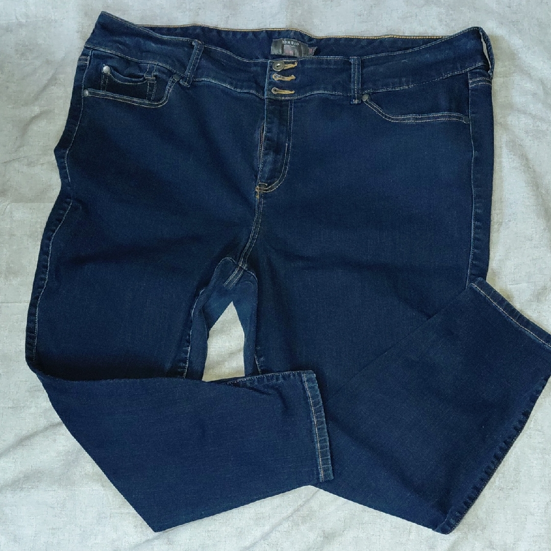 Torrid Jeggings Size 24s